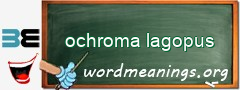 WordMeaning blackboard for ochroma lagopus